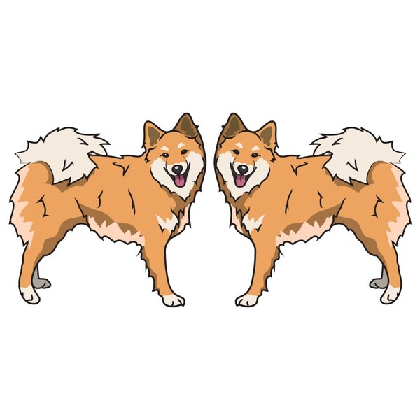 Signmission Icelandic Sheepdog Dog Decal, Dog Lover Decor Vinyl Sticker D-24-Icelandic Sheepdog - main